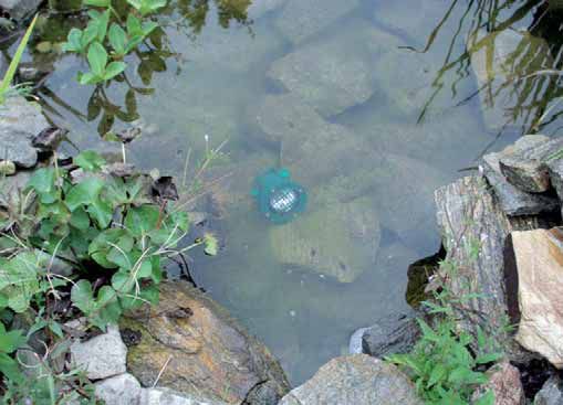 Oprawy pod wodę IP68 Brilum